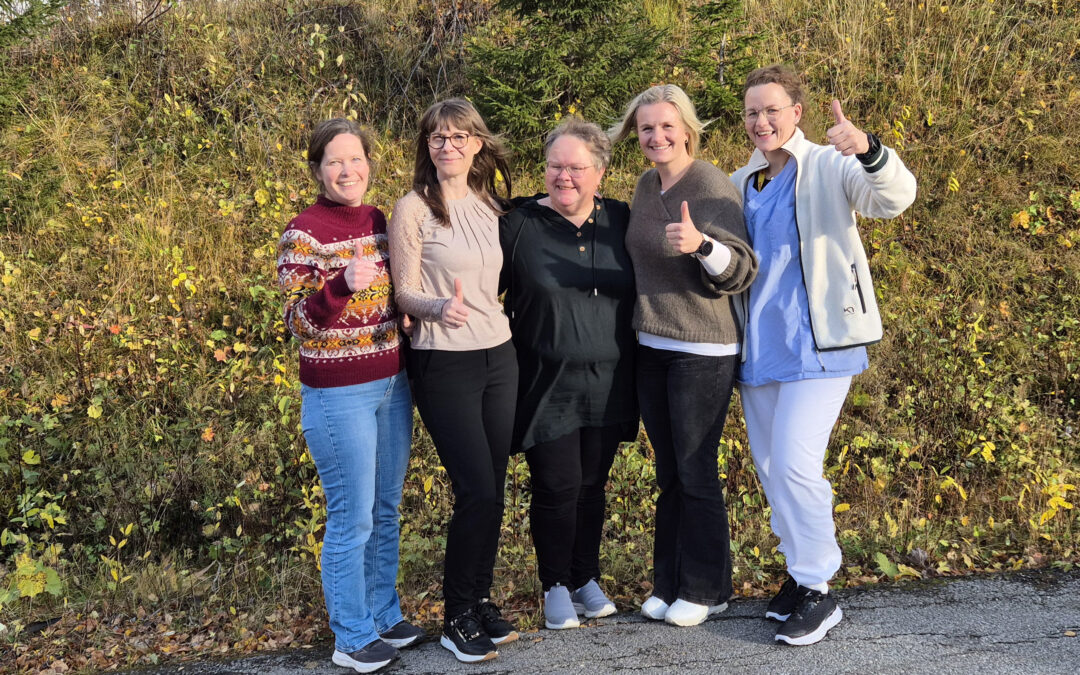 Livsgledearbeidet ved Lierne helsetun